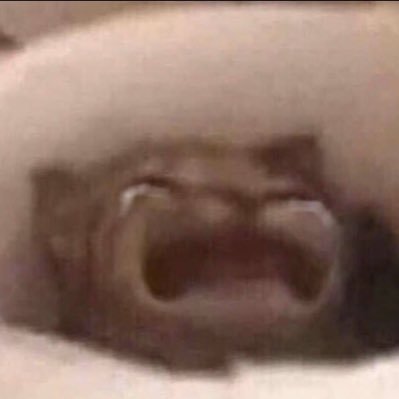 wei_veee's profile picture. 