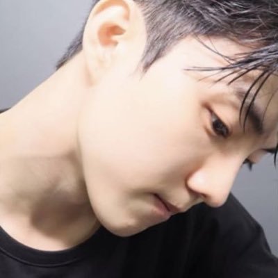 houdning's profile picture. 