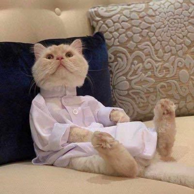 Peaceeerekhh's profile picture. CHAMPION D’AFRIQUE 🇸🇳⭐️⭐️ Best date I ever had was my date of birth and I even got a certificate for it.