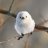 XH_010626_'s profile image