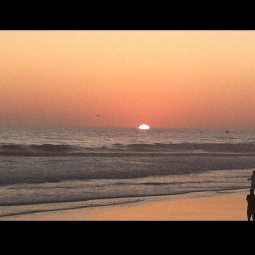 zanpriefer's profile picture. 