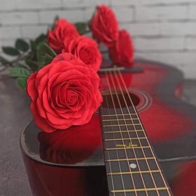 LaineyWilsn4's profile picture. Embracing life's adventure with an open heart