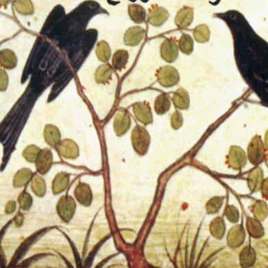 00o00000_0o0oo0's profile picture. 