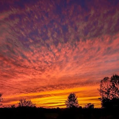 nongmoo23420961's profile picture. Building things and sharing what I learn along the way.