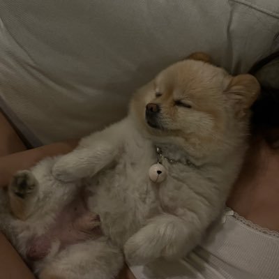 ktp7jsw's profile picture. 