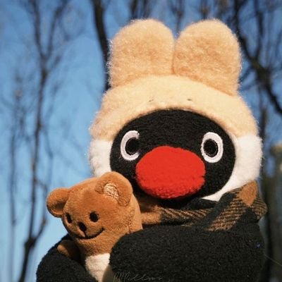 kpihcx's profile picture. YK D6 , DY🐰