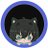 ashuragameenjoy's profile image
