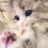 chis0u0's profile image