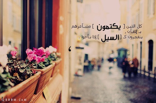 al3azmya1's profile picture. سبحان الله وبحمده سبحان الله العظيم