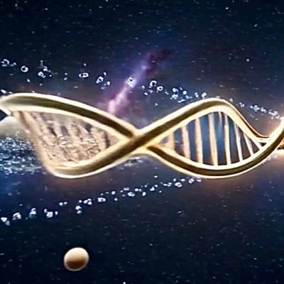 LVandens's profile picture. 