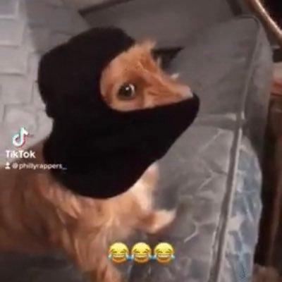 doumams84's profile picture. ☝🏿🕋 | 🇵🇹🇬🇳 | @FCPorto @okcthunder