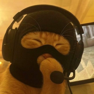 _disfrutalavida's profile picture. why are you here?