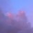 tangerine0717's profile image