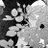 tntt_rkgk's profile image