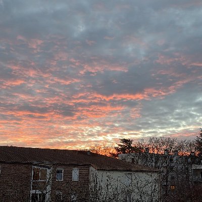 altessepiplette's profile picture. meuf mortelle 🩺