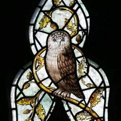 legendofol34141's profile picture. 𝑴𝒆𝒓𝒄𝒊𝒂