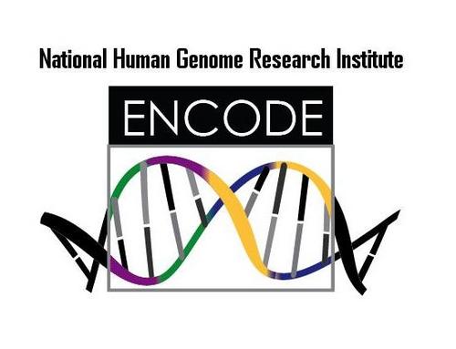 The ENCODE Project at NHGRI/NIH aims to identify functional DNA elements in human and mouse genomes. Disclaimers: https://t.co/4hdQRFkFNU