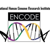 ENCODE Project (@encode_nih) 's Twitter Profile
