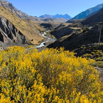 monachopsis443's profile picture. 💃🏻🎶📷📚⚽🏁🎥🍛