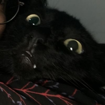 trizsembea's profile picture. são longuinho = goat