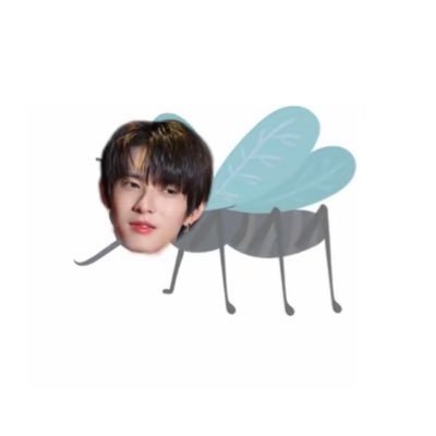 linwan9913's profile picture. 