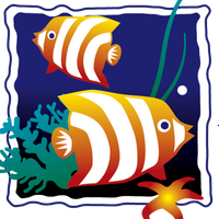 Dr. Kent (@carolinabraces) 's Twitter Profile