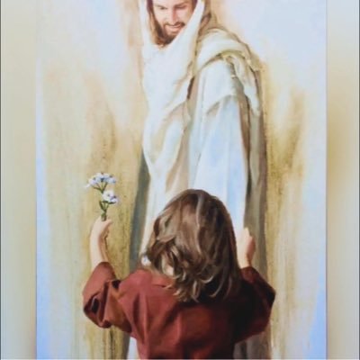 sehamayed's profile picture. 