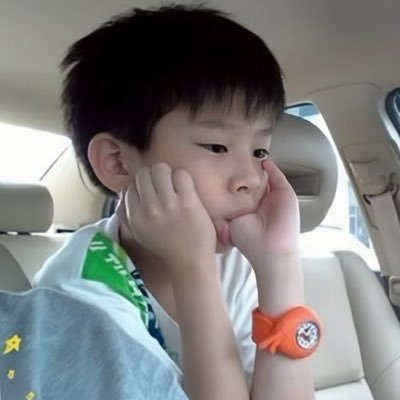 chayaknown's profile picture. bus and bkpp truther