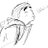 suntroot's profile image