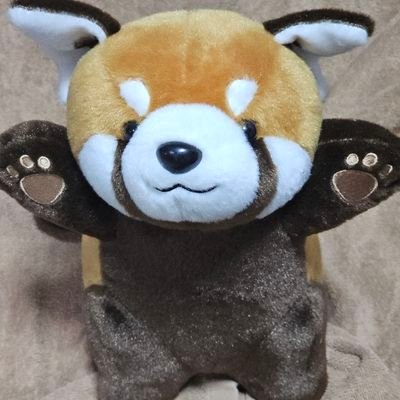 まぢりん🍄🎶💜🐈‍⬛