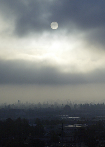 alicecrane's profile picture. San Francisco resident