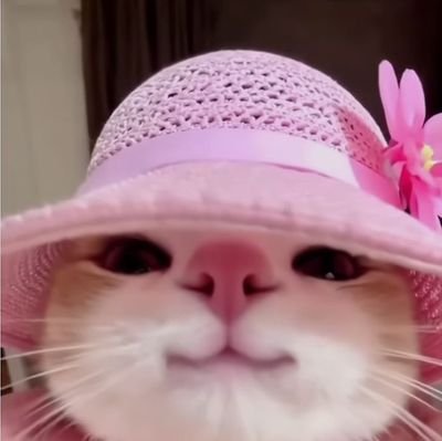 helena_mrym's profile picture. heyoooo (◍⁠•⁠ᴗ⁠•⁠◍⁠)⁠✧⁠* welcome cutie🍓🍀 jual app prem murah🍿💯trusted `n fast res yapppp✨(⁠◠⁠‿⁠◕⁠)
🎁order on wa💌 : https://t.co/UOEJlgKPu4🍀