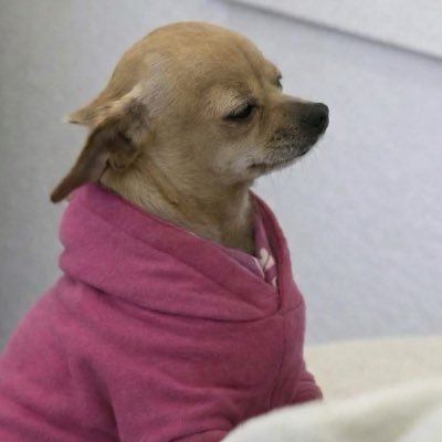 BeckynotLynch's profile picture. Trophy daughter 🏆