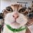 giuliamdros's profile image