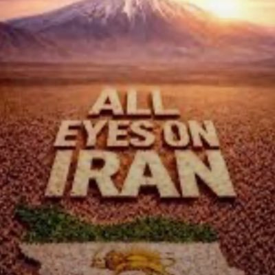 MarkusDauber's profile picture. 