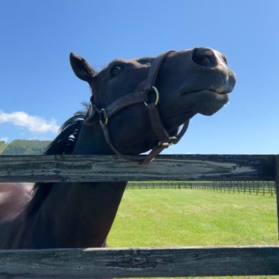 muku_ten1215's profile picture. たまにふていきにらくがきします。