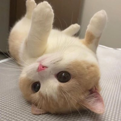 ragiyalala's profile picture. 