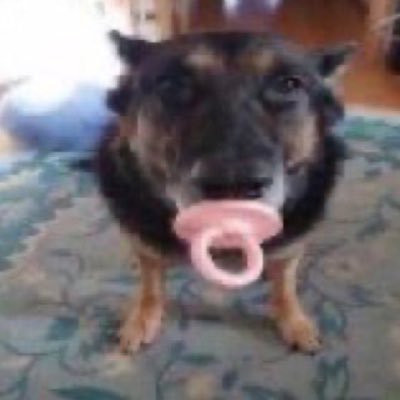 kssdisco's profile picture. deixando pra amanhã o que posso fazer hoje