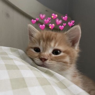 ballesta_lila's profile picture. 🫶🏻