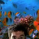 Gavin Calder - @CalderGA - Twitter