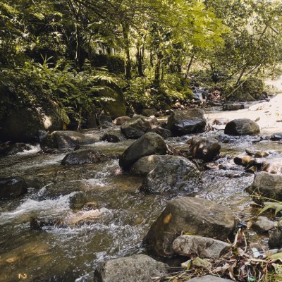 soymilkky's profile picture. infp | aslinya Endut 🥲