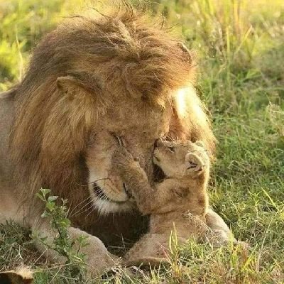 leon_jhon87680's profile picture. 