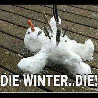 nubbin00_'s profile picture. Old as hell and happily divorced. Amateur woodworker. Fluent in apathy and sarcasm.  NOT A GOAT.  God, I hate it here.

I have no idea what I'm doing