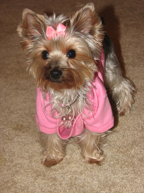 ConnieCam21's profile picture. 