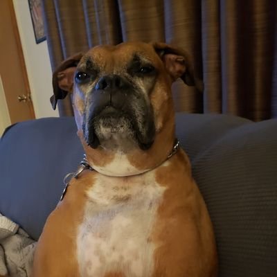 ChrisCanavan14's profile picture. 