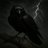 infosec_coder's profile image