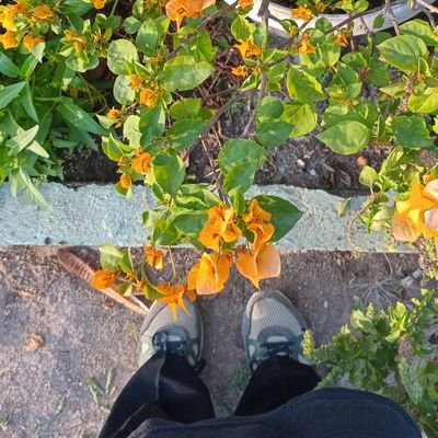 hummingblooming's profile picture. art, craft 
🌸🎏🪡🎨📖✂️