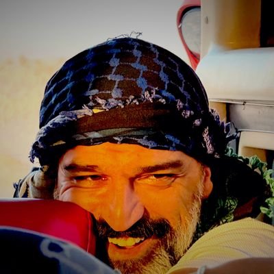 lacitrevertical's profile picture. 