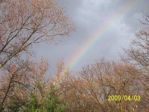 PhillyBrownBear's profile picture. Hardworking Happily Divorced Kid Free Brownie w/4eyes