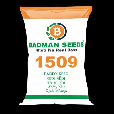 IndriExport's profile picture. Deals in Seeds and food grain